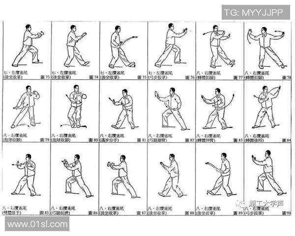 初学太极拳视频教学入门指南轻松掌握基本动作与技巧 初学太极拳视频教学入门指南轻松掌握基本动作与技巧