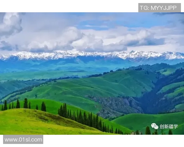 加的斯持续升温,旅游业复苏带动经济发展势头强劲