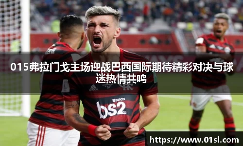 015弗拉门戈主场迎战巴西国际期待精彩对决与球迷热情共鸣